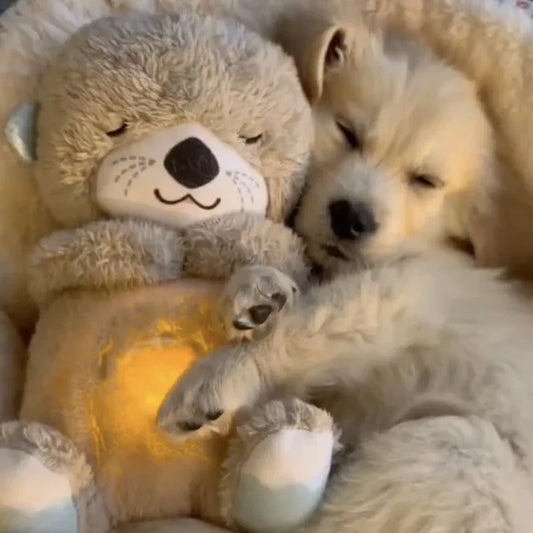 OtterDream / Calming otter for dogs