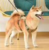 Anti-pull harness | Puppyness