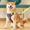 Anti-pull harness | Puppyness