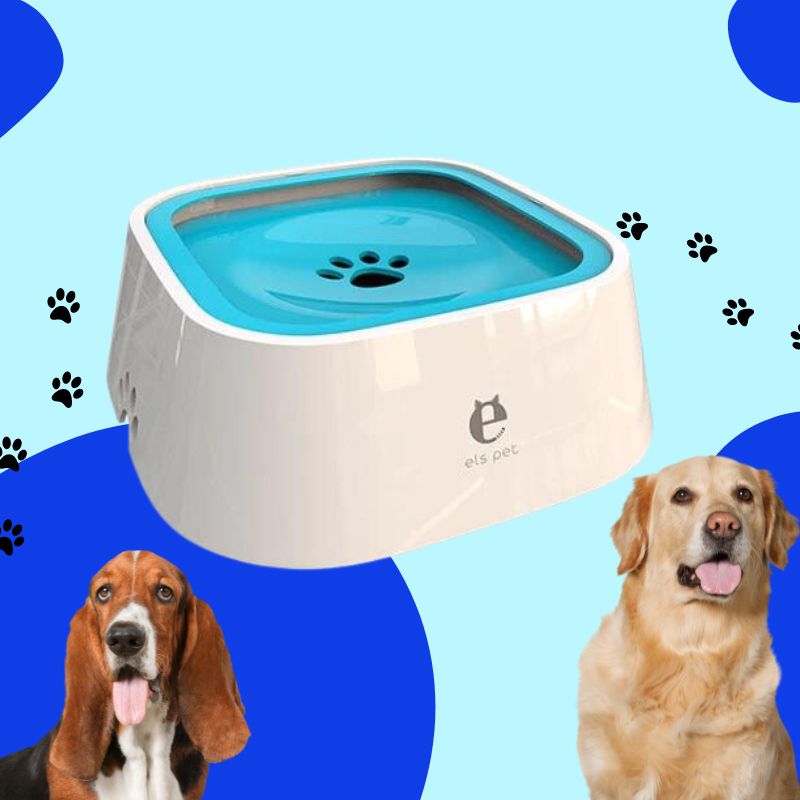 PetBowl | No-Spill Pet Water Bowl