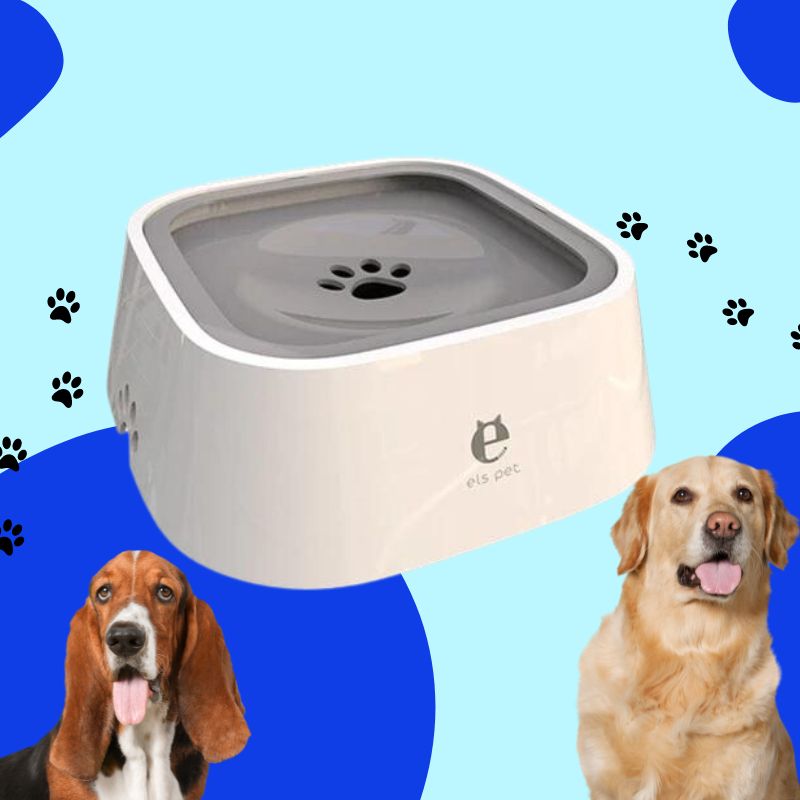 PetBowl | No-Spill Pet Water Bowl