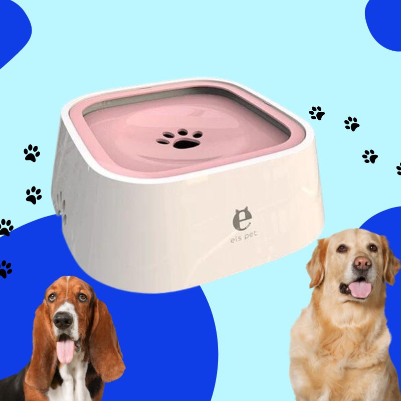 PetBowl | No-Spill Pet Water Bowl