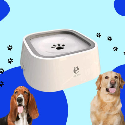 PetBowl | No-Spill Pet Water Bowl