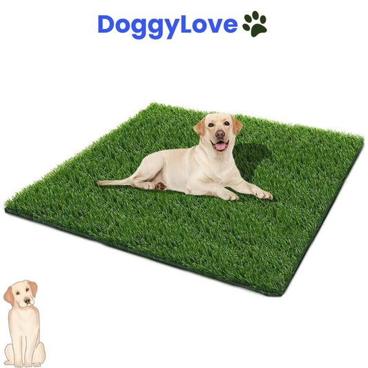 DoggyLove® | Dog Lawn