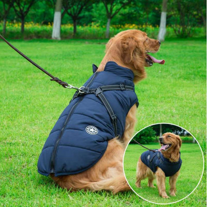 Jacketo® | Winter jacket for dogs