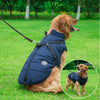 Jacketo® | Winter jacket for dogs