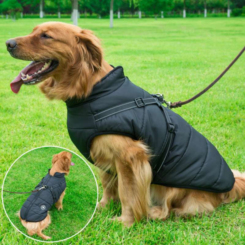 Jacketo® | Winter jacket for dogs