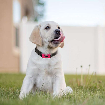 PuppyLove® | Painless Anti-Bark Collar