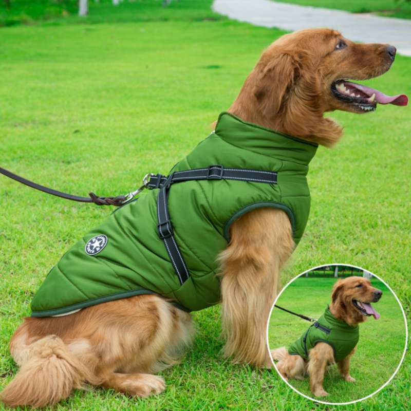 Jacketo® | Winter jacket for dogs