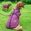 Jacketo® | Winter jacket for dogs